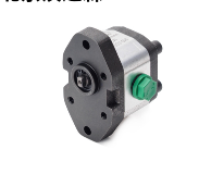 ROQUET鐵鑄齒輪泵1PNA36DE10型號(hào)