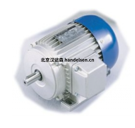 Carpanelli MRE系列高效電機(jī)