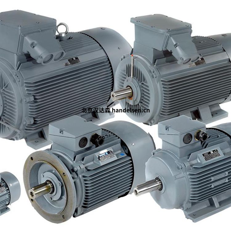 荷蘭品牌Dutchi鼠籠感應(yīng)電機特點 荷蘭品牌Dutchi鼠籠感應(yīng)電機特點