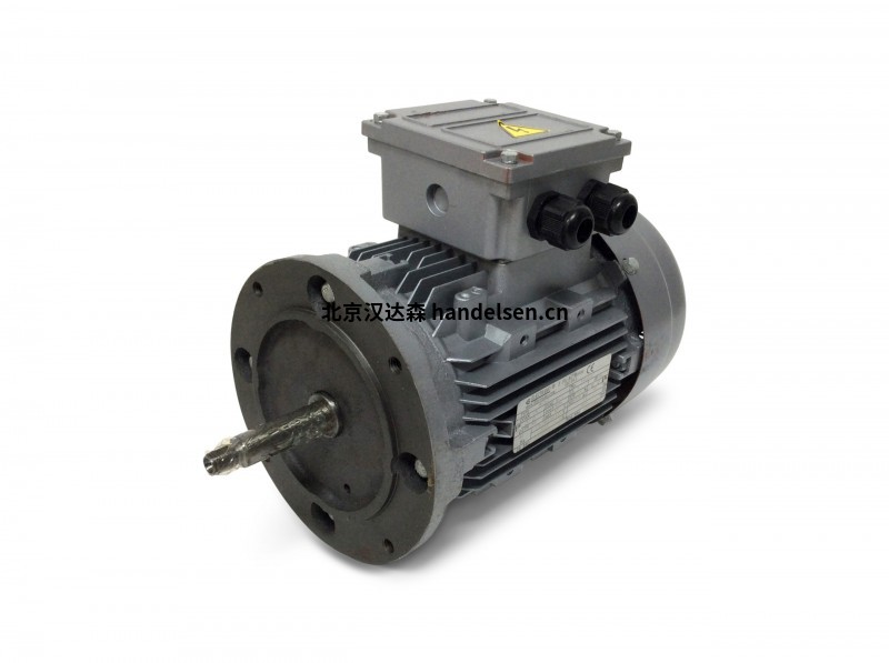 Electramo IE3高效率三相電機